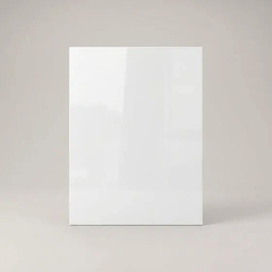 European door in Glossy White
