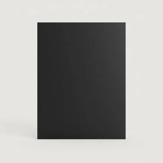 European door in Matte Charcoal Black