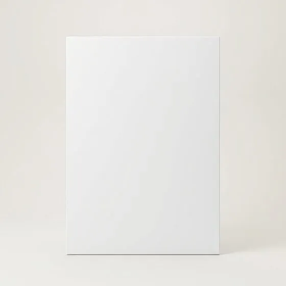 European door in Matte White